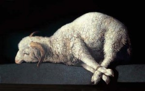 sacrificial lamb