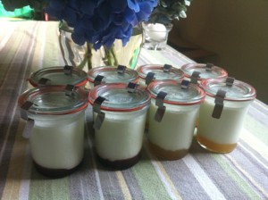 yogurt with fruit on the bottom