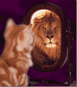 cat with lion reflection in the mirror
