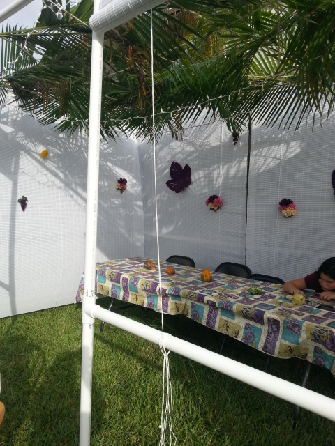 Decorated walls