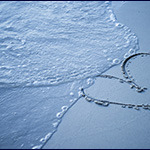 learning to forgive