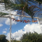 sukkah entrance roof