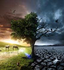 life or death