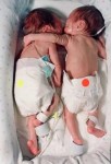 Jackson Twins