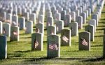 Arlington Cemetary